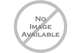 PT Pelita Abadi Trans